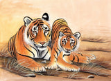 Bengal Tiger