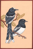 Bird Art