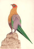 Bird Art