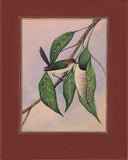 Bird Art