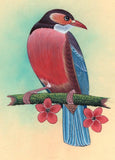 Red Breasted Bird Miniature Painting Handmade Indian Nature Decor Ethnic Art