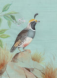 California Quail Bird Painting Rare Handmade Indian Miniature Nature Decor Art