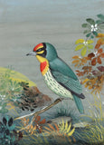 Bird Art
