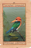 Kingfisher Nature Art