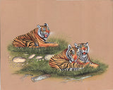 Bengal Tiger
