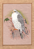 Falcon Painting