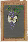 Butterfly Indian Nature Painting Handmade Watercolor Miniature Wild Life Art