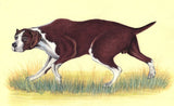 Animal Painting