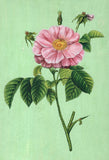 Flower Painting