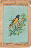 Bird Painting