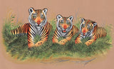 Tiger Animal Painting