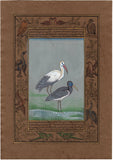 Indian Bird Painting