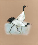 Indian Bird Painting