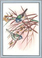Bird Art
