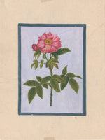 Flower Lotus Painting