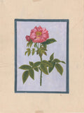 Flower Lotus Painting