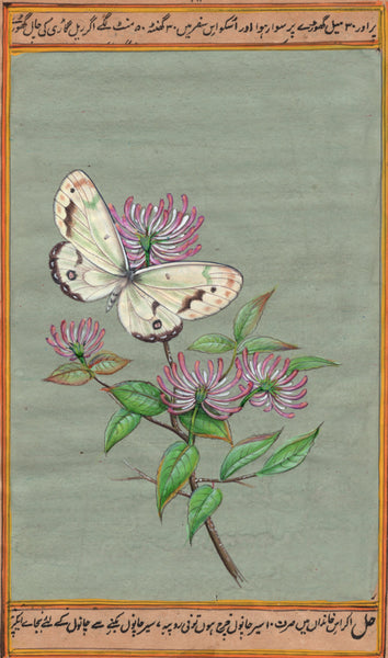 Butterfly Painting