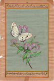 Indian Nature Floral Art