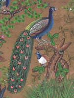 Indian Bird Peacock Art