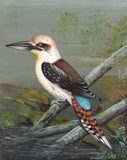 Kookaburra Kingfisher Art