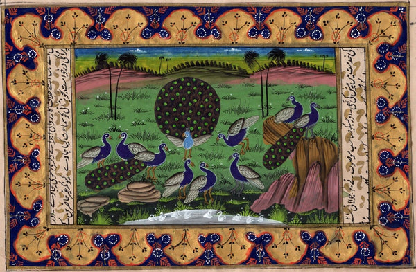 Indo Persian Bird Art Handmade Miniature Illuminated Manuscript Islamic Painting