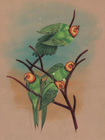 Parrot Painting