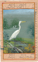 India Miniature Painting Handmade Painted Egret Bird Watercolor Wild Life Art