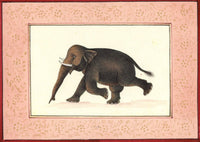 Elephant Watercolor Painting Hand Painted Indian Animal Miniature Nature Art