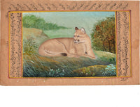 Indian Miniature Style Puma Cougar Painting Rare Handmade Wild Mountain Lion Art