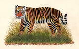 Indian Royal Bengal Tiger Painting Handmade Wild Animal Nature Miniature Art
