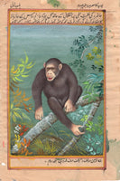 Chimpanzee Animal Painting Handmade Indian Miniature Watercolor Wild Life Art