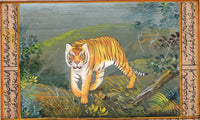 Animal Nature Painting