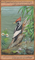 Ivory Billed Woodpecker Bird Painting Indian Miniature Nature Handmade Decor Art