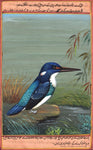Bird Art