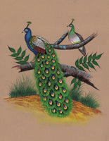 Indian Peacock Painting Handmade Watercolor Miniature Nature Bird Wild Life Art