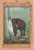 African Elephant Painting Handmade Wild Life Miniature Animal Watercolor Art