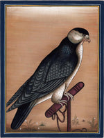 Indian Falcon Miniature Art Handmade Bird of Prey Miniature Cotton Painting