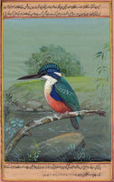 Kingfisher Bird Art