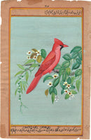 Cardinal USA State Bird Painting Handmade Indian Miniature Wild Life Nature Art