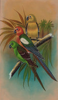 Parrot Painting Handmade Indian Bird of Paradise Nature Floral Miniature Art
