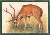 Animal Nature Painting