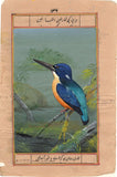 Kingfisher Wild Life Painting