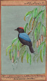 Blue Backed Manakin Bird Painting Handmade Indian Miniature Nature Decor Art