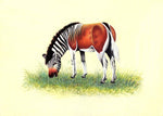 Zebra Painting