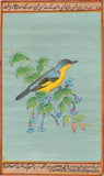 Common Tody Flycatcher Bird Art Rare Handmade Indian Miniature Nature Painting