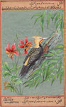 Blond Crested Woodpecker Bird Painting Handmade India Miniature Nature Decor Art