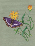 Butterfly Painting