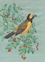 Hooded Warbler Painting Handmade Indian Miniature North American Wild Bird Art