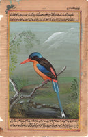 Paradise Kingfisher Bird Painting Handmade Wild Feathered Indian Miniature Art
