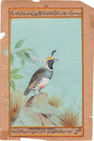 California Quail Bird Painting Rare Handmade Indian Miniature Nature Decor Art